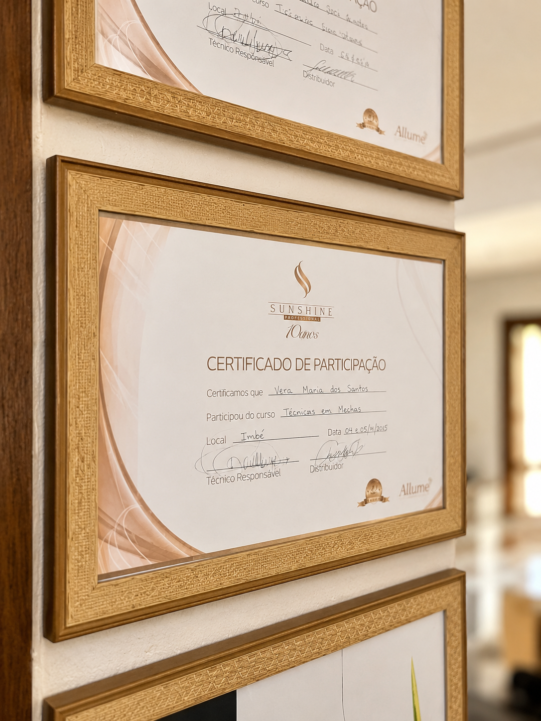 Certificado Sunshine — Técnicas em Mechas